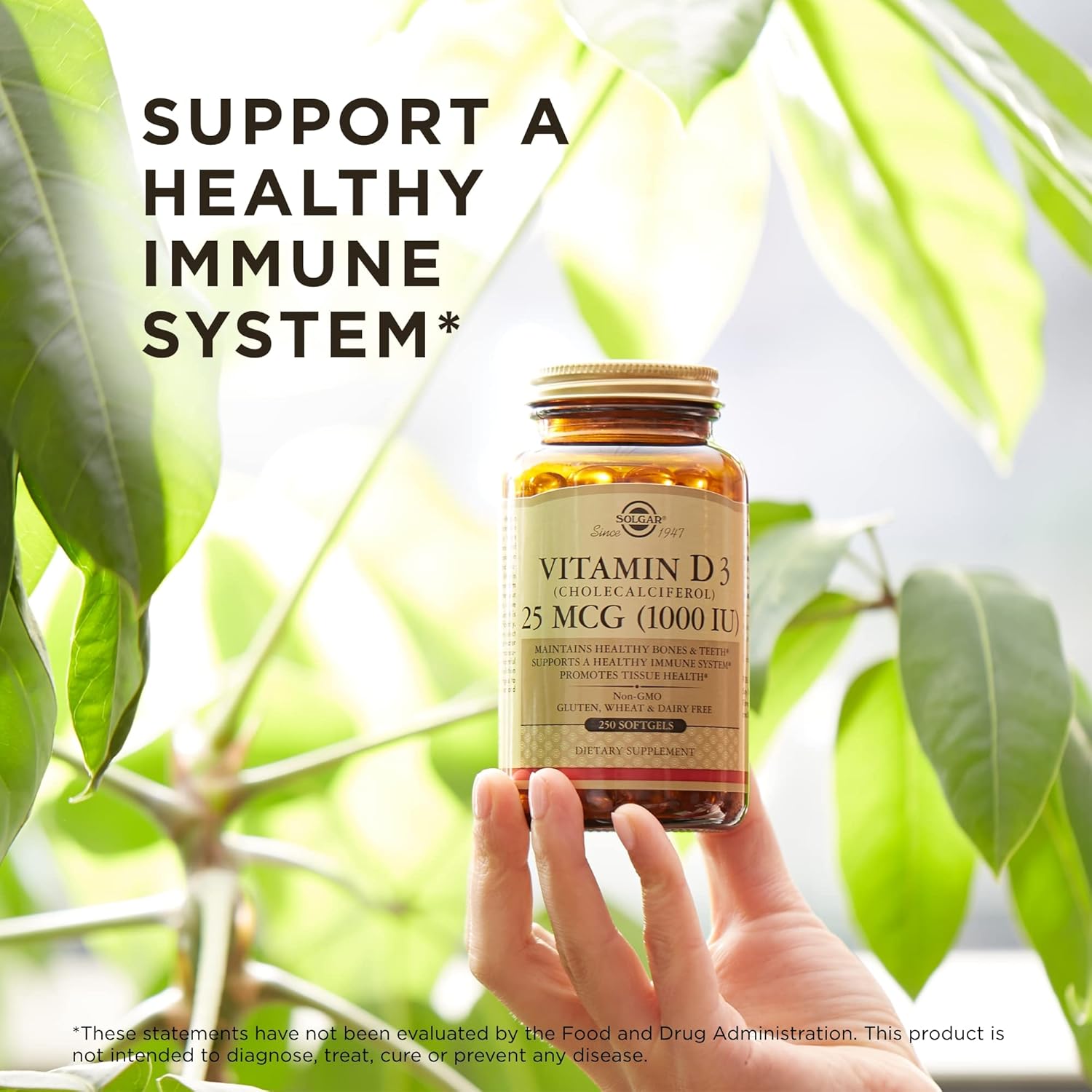 Solgar Vitamin D3 (Cholecalciferol) 125 mcg (5000 IU), 240 Vegetable Capsules - Helps Maintain Healthy Bones & Teeth - Immune System Support