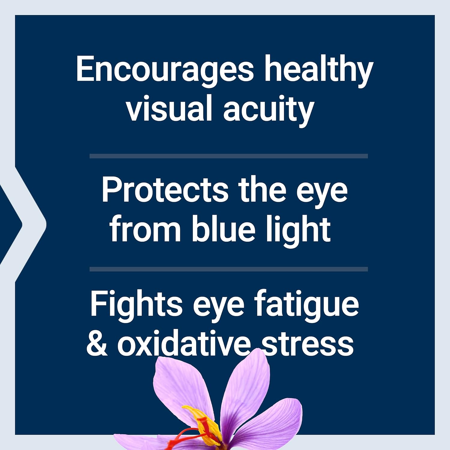 Life Extension MacuGuard Ocular Support with Saffron & Astaxanthin – Eye Health Supplement for Healthy Vision 60 softgels