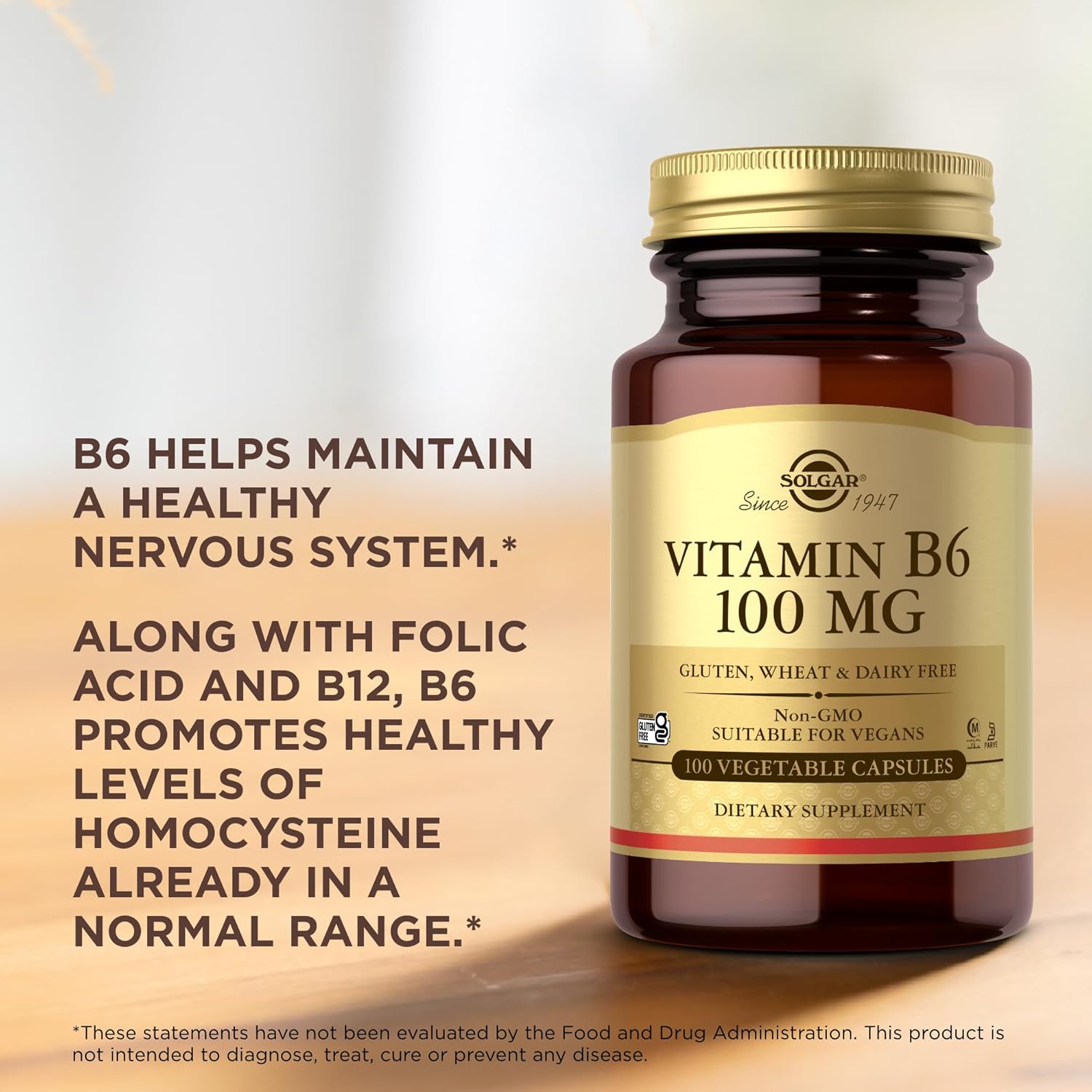 SOLGAR Vitamin B6 100 mg - 100 Vegetable Capsules - Non-GMO, Vegan, Gluten Free, Dairy Free, Kosher, Halal - 100 Servings
