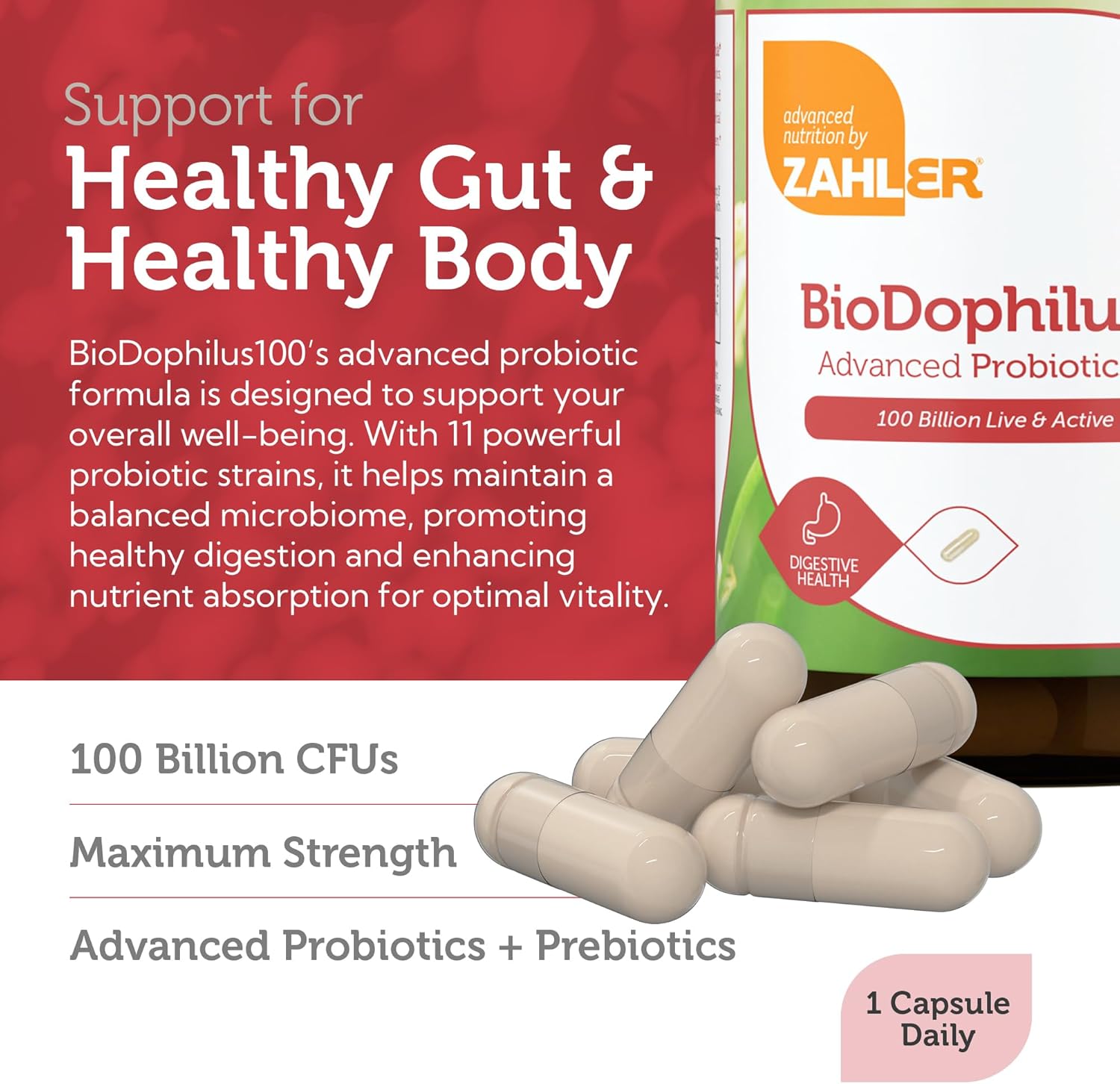 Zahler BioDophilus100-100 Billion Probiotic - 100 Billion CFU 11-Strain Gut Health Probiotic Supplement - Prebiotics/Probiotics for Digestive Health, Probiotics for Women and Men. (30 Ct)