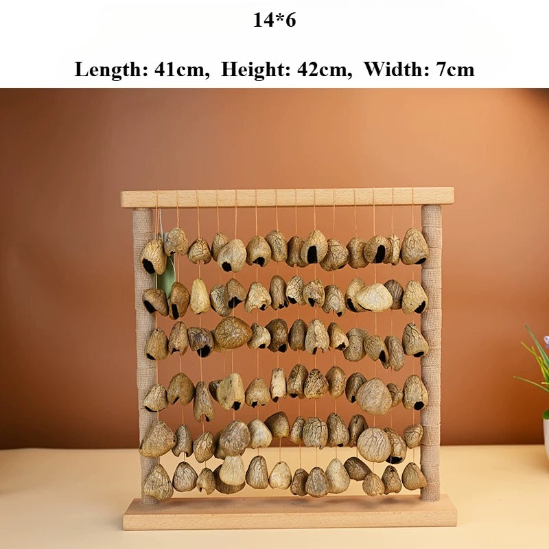 Healing Forest Nut Shell Rattle & Wind Chime – Indonesian Black Fruit, Sound Therapy Instrument Style 2